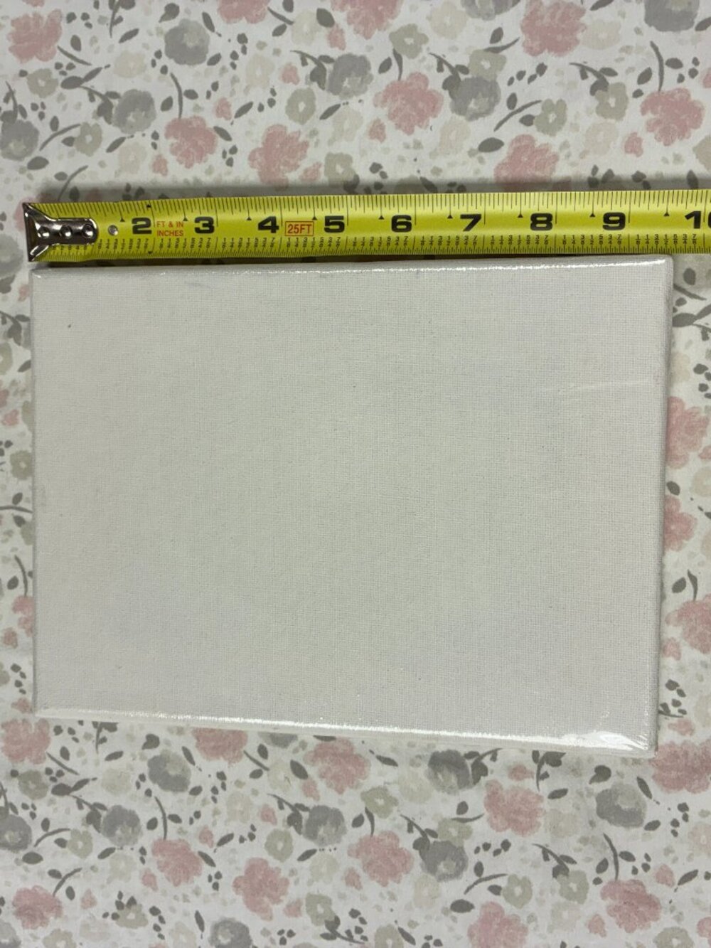 Canvas - Approximately 9.5" by 7.5" - NIP